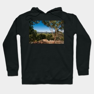 The 'Bungles Hoodie